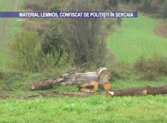 Material lemnos, confiscat de polițiști în Șercaia